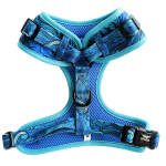 Dizajn bez naslova (18)